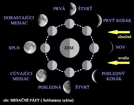 Graf znázorňujúci mesačné fázy a ich vplyv na telo