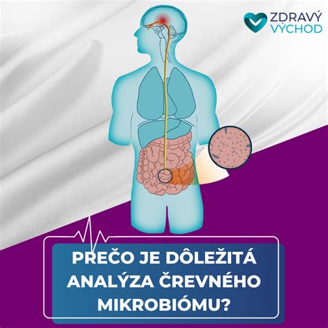 Schéma črevného mikrobiómu