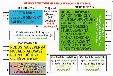 Grafické znázornenie možných kombinácií plniek do štrúdle