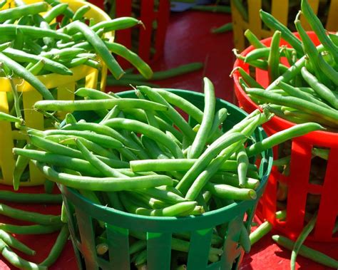 Proces blanšírovania zelenej fazuľky