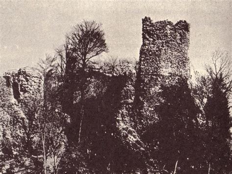 Historické vyobrazenia cestoplastiky