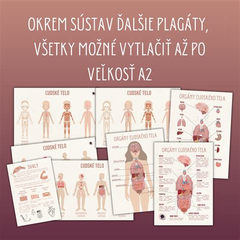 Infografika o možných vplyvoch hliníka na ľudské telo