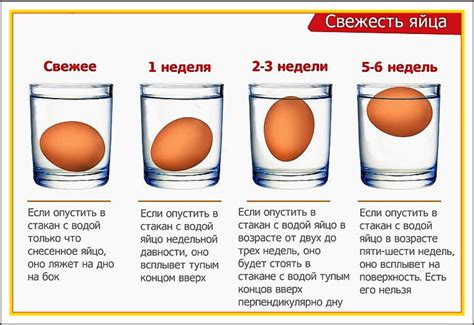 Schéma testu čerstvosti vajec vo vode.
