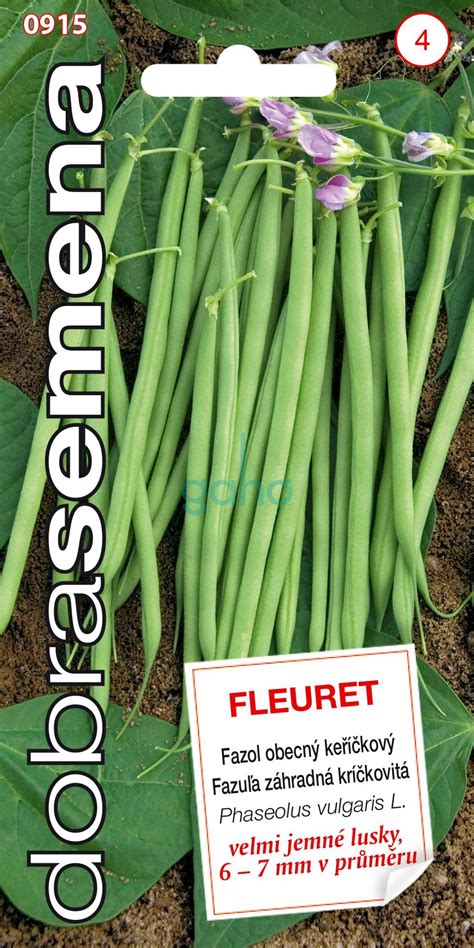 Zelená fazuľa na tanieri