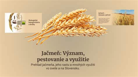 Pestovanie a využitie cícera