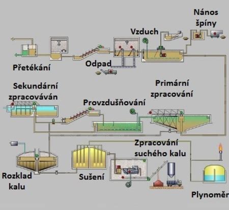 Postup čistenia a krájania jahôd
