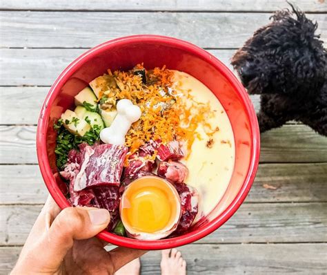 Ilustrácia BARF stravy pre psa