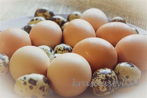 Správne skladovanie prepeličích vajec