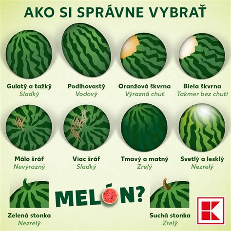 Ilustrácia, ako vybrať zrelý melón