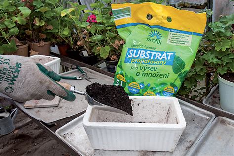 Nádoby na výsev paradajok