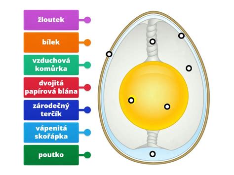 Diagram správneho skladovania násadových vajec
