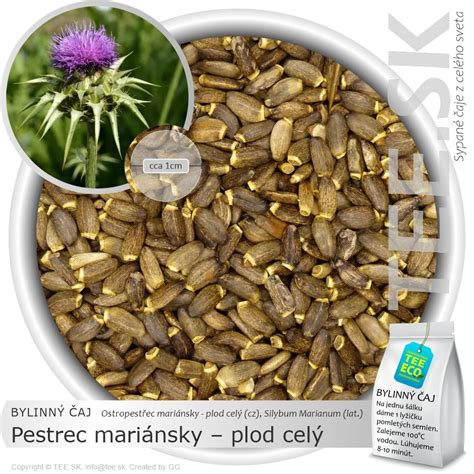 Pestrec mariánsky a podpora pečene