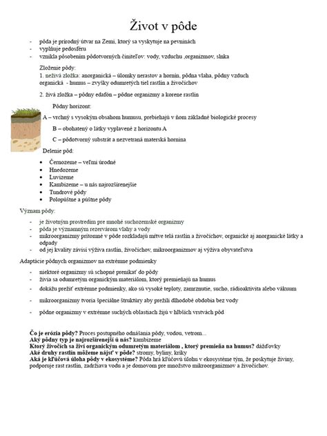 Schéma symbiózy fazule s nitrifikačnými baktériami v pôde