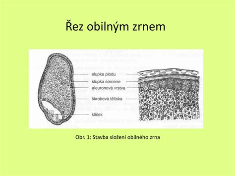Diagram mletia obilného zrna