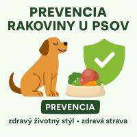 Prevencia pripálenia a tipy pre bezpečné pečenie