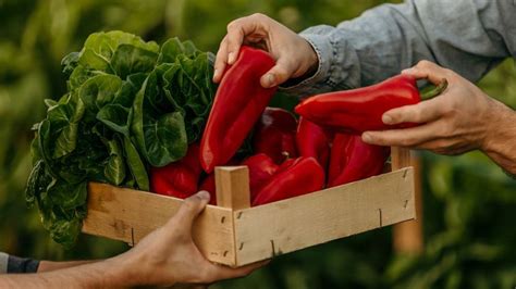 čerstvá paprika pripravená na spracovanie