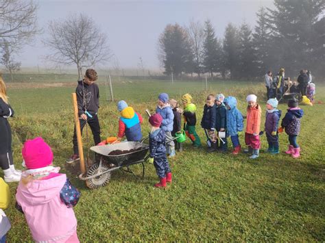 Obrázok rôznych ovocných a krémových plniek