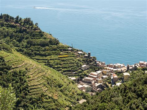 Terasovité vinice v údolí Rhôny, kantón Wallis
