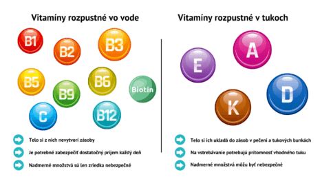 Schéma: Zloženie slivkového oleja (vitamíny A, E, C, omega-mastné kyseliny, triglyceridy)