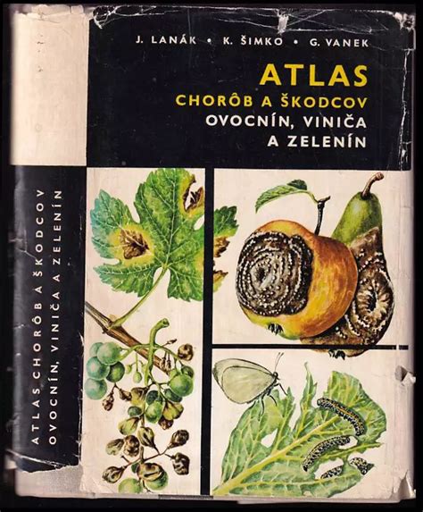 Ilustrácia rôznych typov chorôb a škodcov napádajúcich uhorky a tekvice