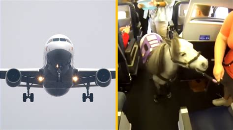 Dieťa v lietadle s občerstvením