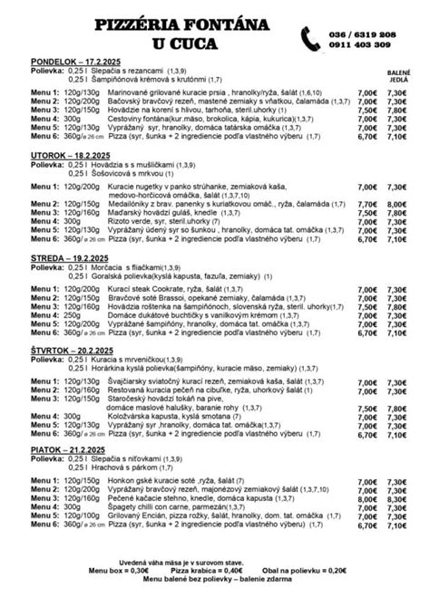Ukážka jedál z denného menu Fontana Levice