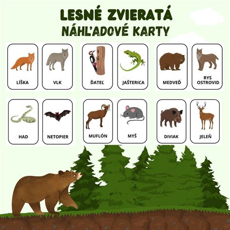Mapa doručovacích služieb krmiva pre zvieratá na Slovensku