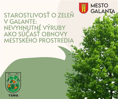Fotografia mestského prostredia s obchodmi a službami v okolí Ilavy