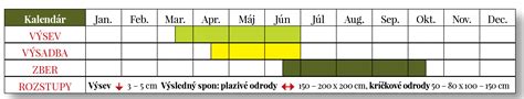Tabuľka časovania výsevu a výsadby skorej kapusty