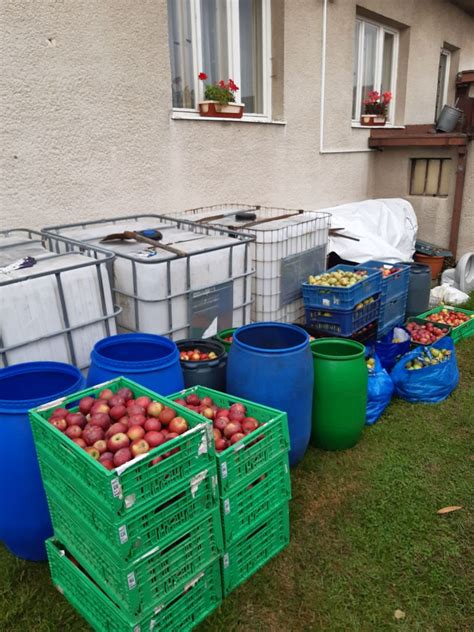 Čerstvé marhule a jablká pripravené na spracovanie