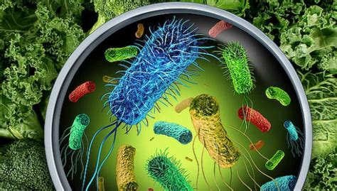 Hygiena a manipulácia s potravinami v kuchyni
