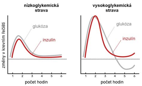 Graf denného príjmu potravy a hladiny glukózy v krvi