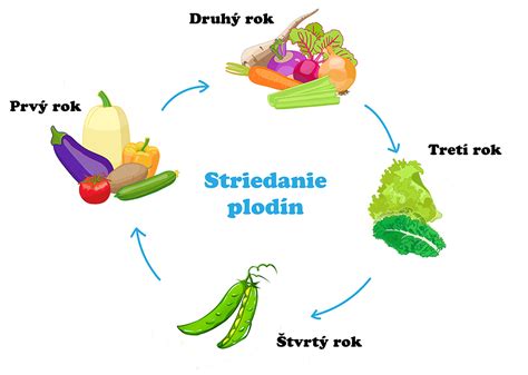 Schéma správneho striedania plodín v záhrade