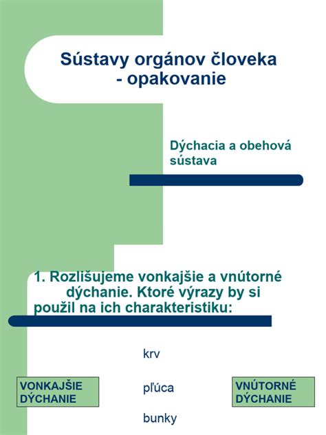 Detailný nákres vnútorných orgánov ošípanej