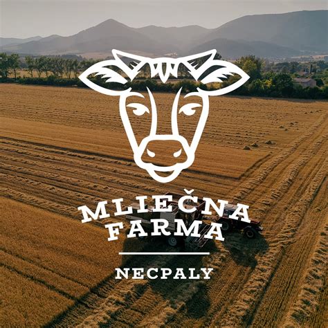 Mliečna farma s dojnicami a výrobnou linkou