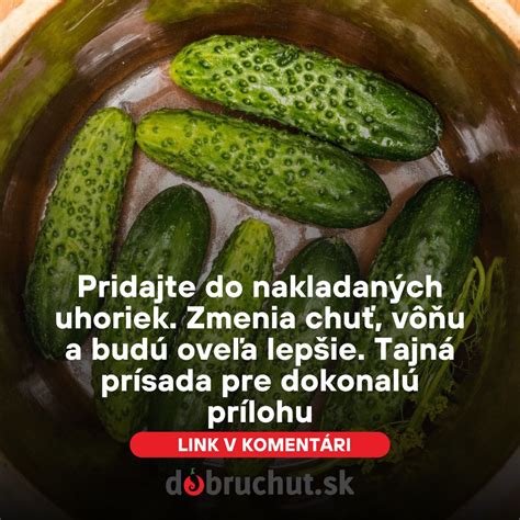 Infografika: Ideálne teploty pre rast a plodenie uhoriek