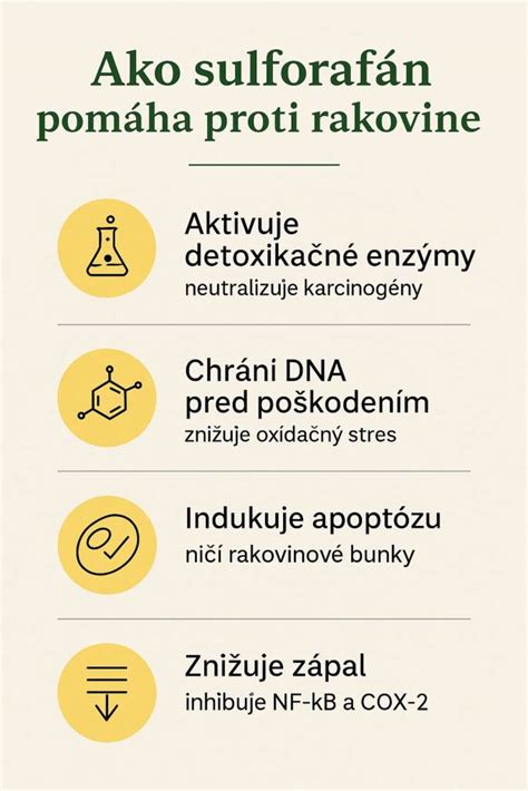 Infografika zobrazujúca zloženie a zdravotné prínosy uhorkového nálevu