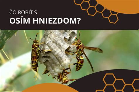 Hniezdo čmeliaka