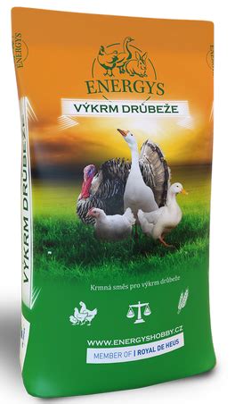 Prehľad plemien kačíc vhodných na výkrm