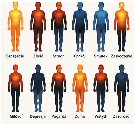 Infografika: Ciele mediálnej výchovy