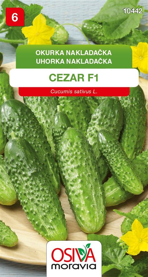 Uhorka nakladačka