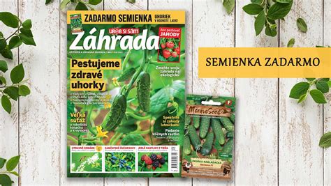 Balenie semienok uhorky