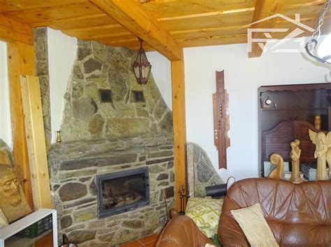 Detailný záber na hus divú v prírodnom prostredí