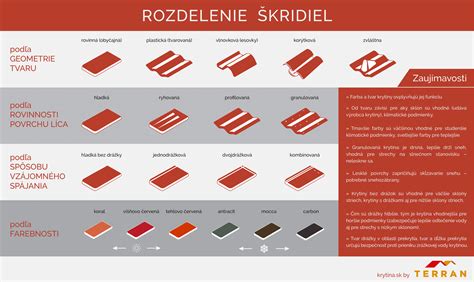 Infografika: Rozdelenie frazém podľa obsahu