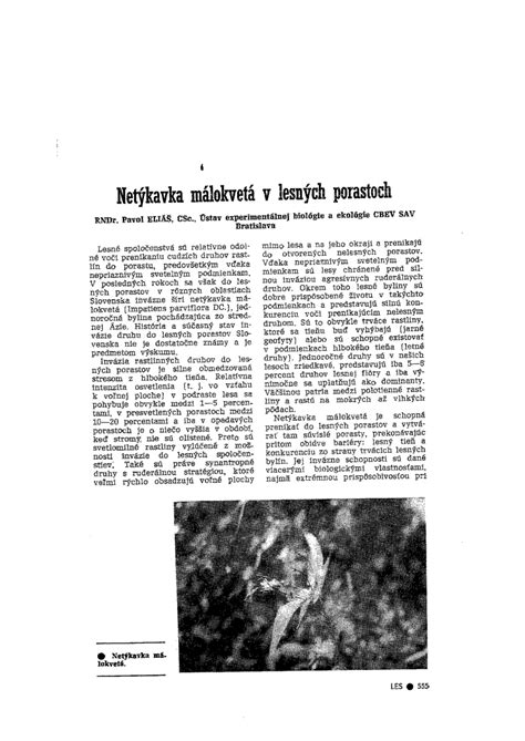 Netýkavka malokvetá v prirodzenom prostredí