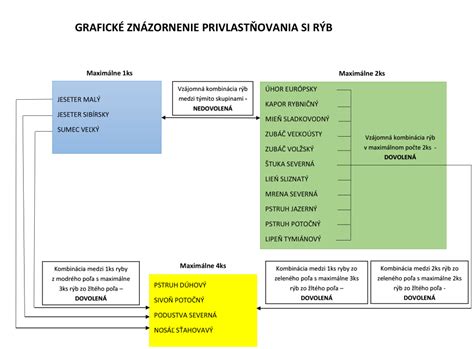 Grafické znázornenie 