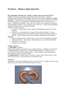 Schéma pyometry (hnisavý zápal maternice)