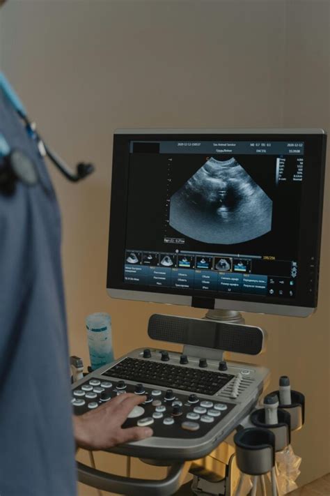 Ultrazvukové vyšetrenie brušnej dutiny sučky s pyometrou