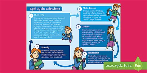 Infografika zobrazujúca etapy čistenia a sterilizácie