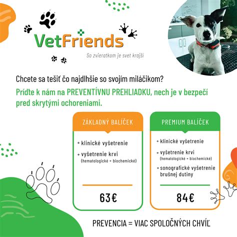 Veterinárna prehliadka psa - ilustrácia